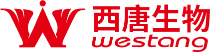 主頁-恢復的_03.png